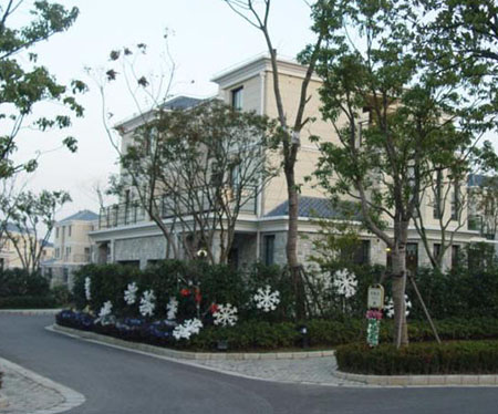 �P�ϗ�������